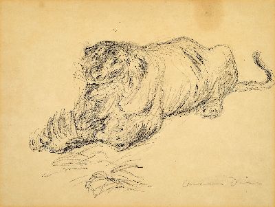 Otto Dill, 1884 Neustadt-1957 Bad Dürkheim, fressende Löwin, Bleistiftzeichnung, rechts unten handsigniert, ca. 22x32cm, PP, u.Gl., R. ca. 43x51cm