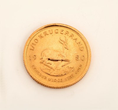 Goldmünze 1/10 Krügerrand 1980, Springbock
