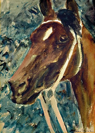 Otto Dill, 1884 Neustadt/Wstr.-1957 Bad Dürkheim, Pferdeporträt, Aquarell auf Papier, rechts unten signiert, ca. 50x36cm, PP, u.Gl., R. ca. 63x50cm