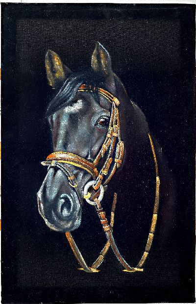 Parinaz Bajalanou, geb. 1985, zeitgenössische iranische Künstlerin, Pferdekopf auf Samt, Öl/Samt, signiert, ca. 86 x 55 cm