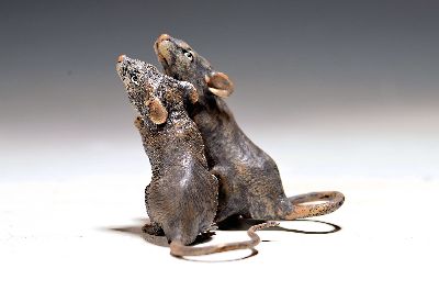 Rattenpaar, Wiener Bronze, sign. Bergmann, naturalistisch staffiert, H.ca. 6.5cm
