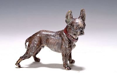 Große Wiener Bronze, stehende Bulldogge, sign. Bergmann, naturalistisch staff., ca. 7x9 cm
