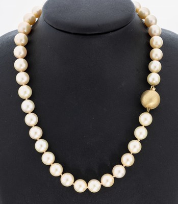 Zuchtperl-Collier mit 14 kt Gold Schließe, GG 585/000, 38 goldfarb. Zuchtperlen, D. ca. 10-10.4 mm, feines Lüster, L. ca. 43.5 cm, Kugelschließe ...