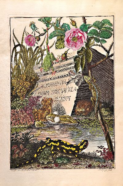 August Johann Rösel von Rosenhof (1705-1759): Die natürliche Historie der Frösche hiesigen Landes, Nürnberg, Johann Joseph Fleischmann 1758, ...