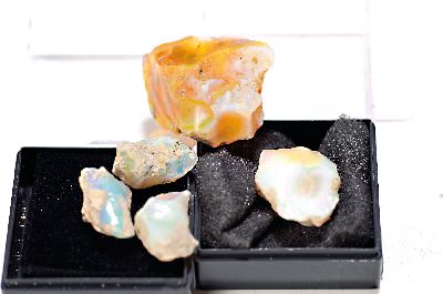 Sammlung aus 6 natürlichen äthiopischen Opalen,1. Ct 32.70 grob 6.54g (4), 4 Rohopale von 20 -22 mm; 2. ein natürl. Opal ungeschliffen, geölt, ...