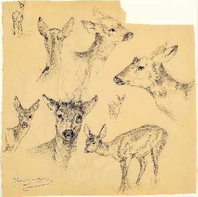 Rosa Bonheur, 1822 Bordeaux-1899 Thomery, Etude de cerfs, Studieblatt mit 8 Darstellungen von Rehen, unten links Signaturstempel (Lugt 275), ...