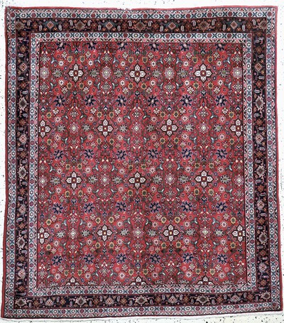 Bidjar fein, Persien, Mitte 20.Jhd, Korkwolle auf Baumwolle, ca. 172 x 154 cm, EHZ: 1-2