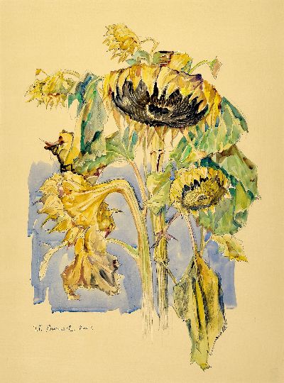 Werner Brand, 1933 Löbau-2021 Hochstadt, 3 Aquarelle mit Sonnenblumendarstellungen, alle handsigniert, 2x dat. 2004, je ca. 59x43cm, PP, u.Gl., R. ...