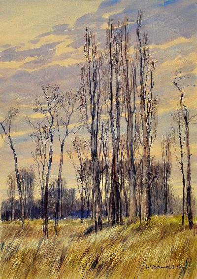 Werner Brand, 1933 Löbau-2021 Hochstadt, 2 Aquarelle: Pappeln im Winter, sign. und dat. 2006, ca. 52x37cm, PP, u.Gl., R. ca. 84x64cm, ...