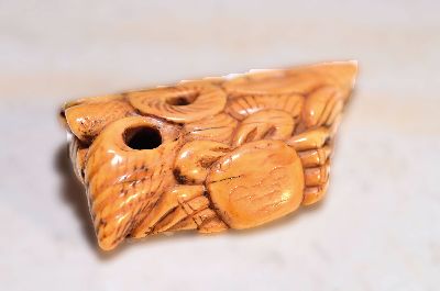 Netsuke, Japan, späte Edo-Zeit bzw. 1.Hälfte 19.Jh., Elfenbein geschnitzt, maritime Komposition mit verschiedenen Muscheln und einer Krabbe, L. ...