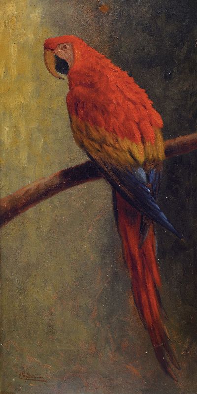 Ernst Philip Stadelmann, 1894 München-1972 Rom, Scharlachara auf einem Ast sitzend, Darstellung in stiltyp. Manier, wohl frühes Werk, links unten ...