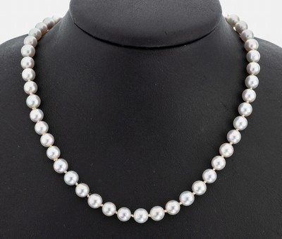 Perl-Collier, endlos, silbergraue Akoyazuchtperlen, D. ca. 6.6 mm, L. ca. 90 cm