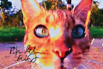 Pipilotti Rist, geb. 1962, Digital-Foto, handsign., auf Kodak Fotopapier, ca. 20x29 cm