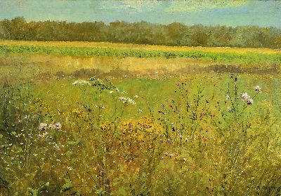 Karl August Wolff, 1938 Ludwigshafen-2023 Mundenheim, Wildkräuter am Feldrand, rechtsunten signiert und datiert 1990, Öl/Lwd, 100x70 cm, Rahmen ...