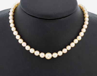Perl-Collier mit 14 kt Gold Schließe, GG 585/000, cremefarb. Akoyazuchtperlen im Verlauf, 4.4-8 mm, L. ca. 49 cm, Karabinerschließe