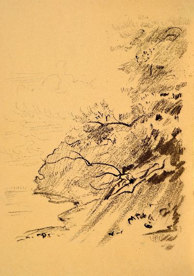Siegward Sprotte, 1913 Potsdam-2004 Sylt, 2 Werke: Bleistiftzeichnung, Riesenkerbel, signiert und datiert Kampen 20.9.73, mit persönlicher Widmung, ...