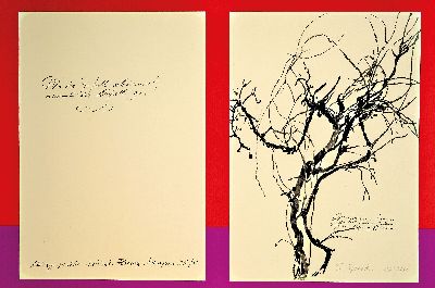 Siegward Sprotte, 1913 Potsdam-2004 Sylt, Konvolut aus 4 Lithographien, florales Motiv auf grauem Bütten Ed. 17/150, 50x34 cm; 2 florale Motiv, ...