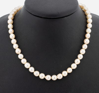 Perl-Collier, l. barocke Akoyazuchtperlen, D. ca. 6.9-7.4 mm, L. ca. 80 cm