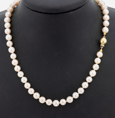 Perl-Collier mit 14 kt Gold Schließe, GG 585/000, Akoyazuchtperlen, D. ca. 6.5-7.0 mm, einzeln geknotet, L. ca. 58 cm, Kugelschließe sat.