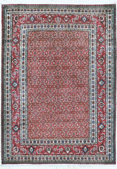 Sarab fein, Persien, Ende 20.Jhd, Korkwolleauf Baumwolle, ca. 280 x 202 cm, EHZ: 1-2
