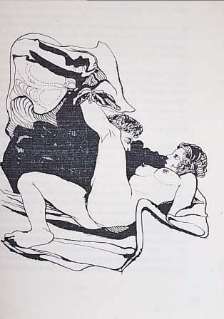 EROTISCHE NOVELLEN AUS GALANTER ZEIT, LUDWIG VON BRUNN, GALA VERLAG HAMBURG,IL- LUSTRIERT VON ERWIN RICKERT, ELVIRA; ERNST UND MINETTE, ...