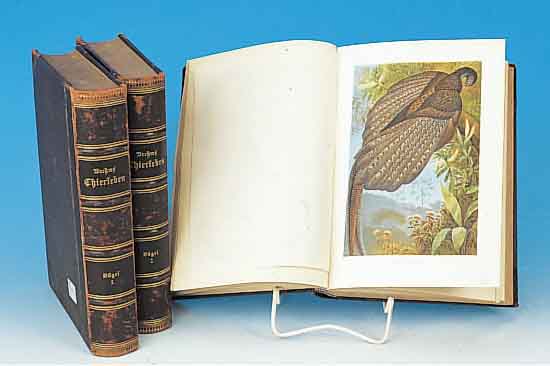 BREHMS THIERLEBEN, LEIPZIG 1886, ZWEITE ABTEILUNG VöGEL: ERSTER UND ZWEITER UND DRITTER BAND, LEICHTE ALTERSSPUREN, 26 X 19 CM, ...