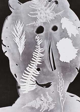 Andre Villers und Pablo Picasso, Torbi, Pochoir, aus: Decoupages et Photogra- phies, Berggruen Paris 1962, ca. 40 x 30 cm