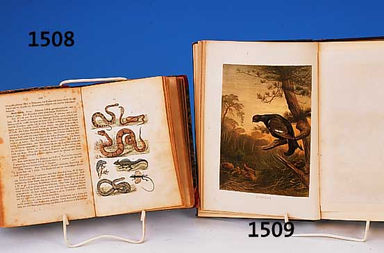 F. Martins Naturgeschichte für die Jugend bei-derlei Geschlechts, 7. Auflage, Stuttgart 1872, mit 300 kolorierten Abbildungen und 20 ...