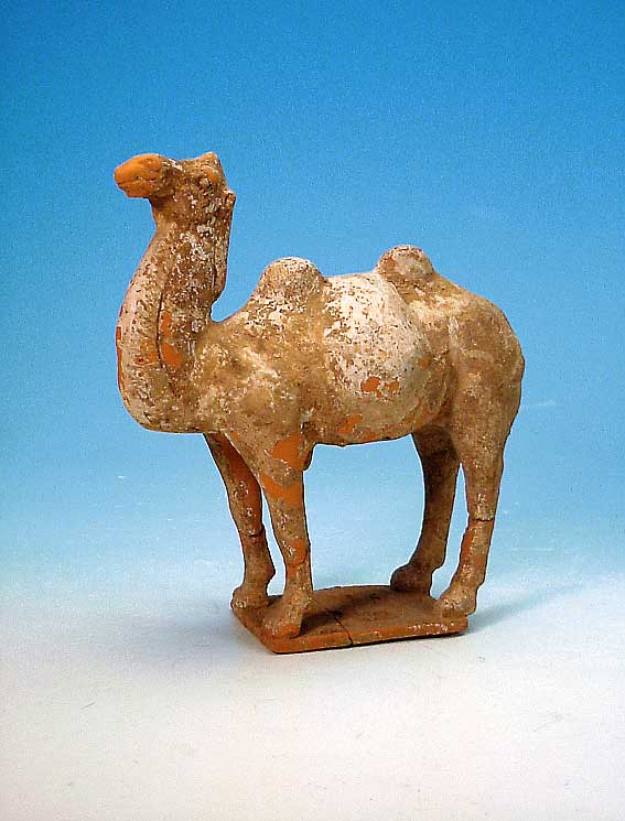 TONFIGUR, CHINA, TANG-DYNASTIE, UM 600-700 N. CHR., DARSTELLUNG EINES KAMELS, AUS- DRUCKSVOLLES GESICHT MIT GERITZTER MäHNE, SOCKEL UND ...