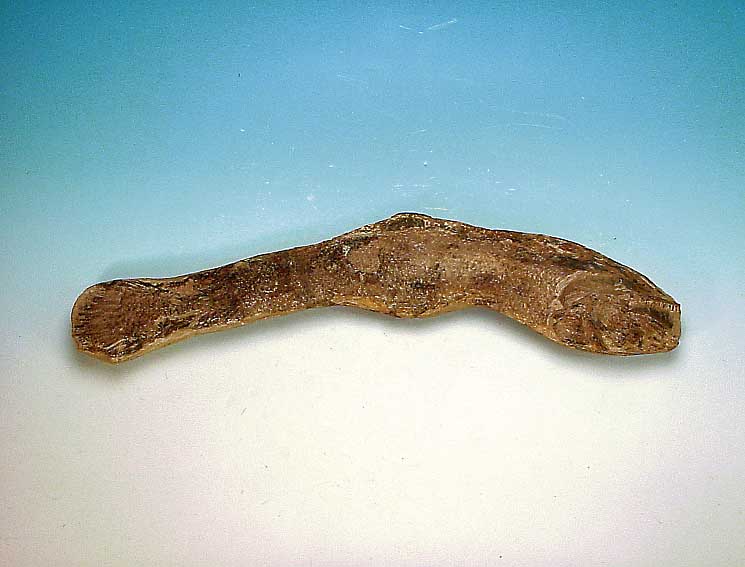 Quastenflosser, ca. 20 Mio., Altersspuren