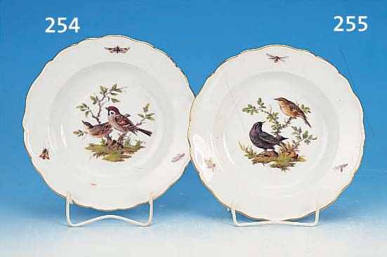TIEFER TELLER, MEISSEN, UM 1900/1905, PORZELLAN, SEHR FEINE BUNTE MALEREI, VOGEL- DEKOR, MIT GOLDRAND, D. 24 CM, SAMMELWüRDIG