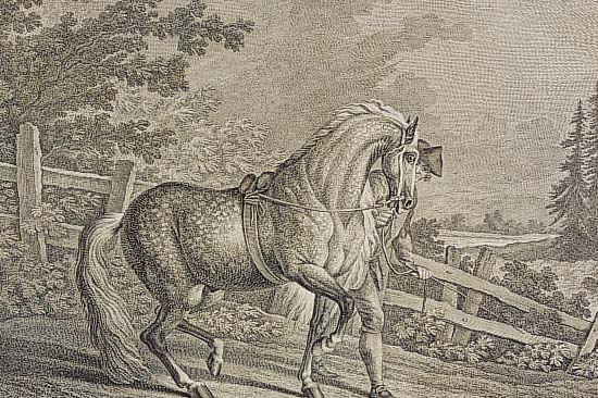 RIDINGER, JOH. ELIAS, OLDENBURGER, KUPFER- STICH, 18. JH., CA. 24,5 X 34 CM, PP