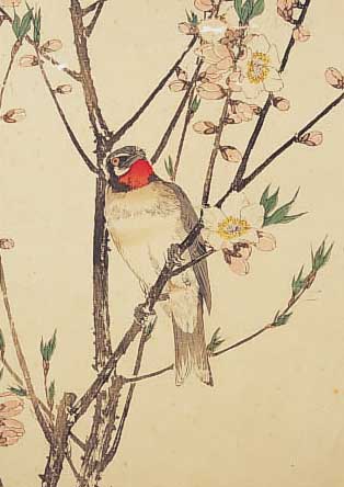 ZWEI JAPANISCHE FARBHOLZSCHNITTE, 19. JH., AUS DEN VOGELBILDERN DES IMAO KAGETOSHI, TAUBEN UND SCHWALBE, RäNDER LEICHT BESCH., EINES MIT ...