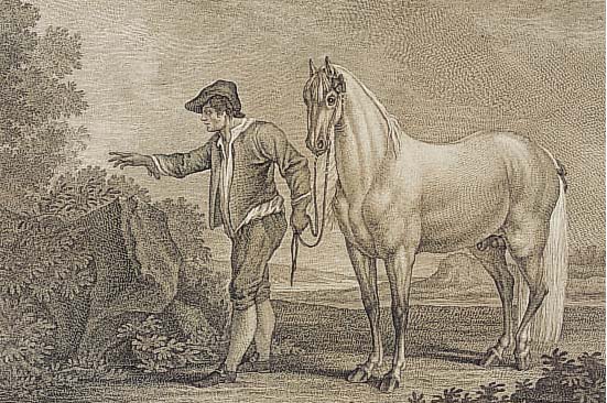 RIDINGER, JOH. ELIAS, 18. JH., SCHWEDISCHES PFERD, KUPFERSTICH, CA. 33 X 51 CM, PP