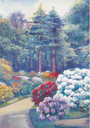 Bromley-Trauwitz, M., Künstler Mitte des 20. Jh., Blühender Rhododendron im Park, Gouachesign., 50 x 34 cm, unter Glas ger.