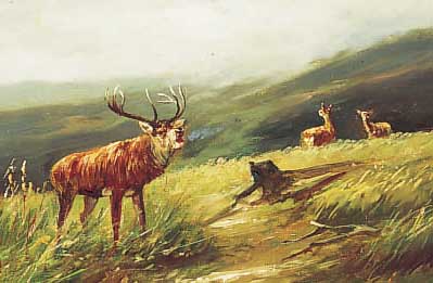 Rheinert, Adolf, 1880 Düsseldorf-1958, Röhrender Hirsch, Öl/Lwd, ca. 34 x 45 cm, re. u. sign., re. oben mit Farbabreibungen, R.
