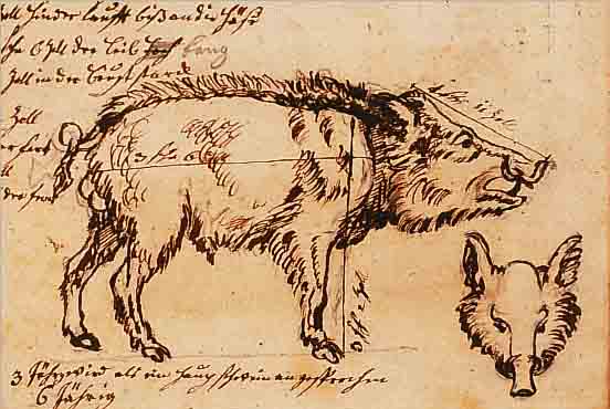 ZUSCHREIBUNG: RIDINGER, UM 1730/40, 6 ORIGINALSKIZZEN, U.A. DAMMHIRSCH, ELCH, RENTIER, ROTWILD IN üPPIGER WALDLANDSCHAFT WILDSCHWEIN ...