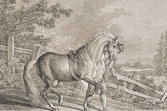 Konvolut von 2 Blatt, mit Kupferstichen v. J. El. Riedinger, Augsburg , ca. 1752, mit schönen Pferdedarstellungen: 1.) Oldenbürger mit Knecht ...