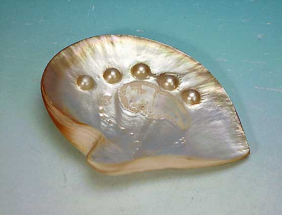 PERLMUTTSCHEIBE MIT 5 MABEPERLEN, CA. 18 X 22 CM, PERLDURCHMESSER CA. 1,5 CM