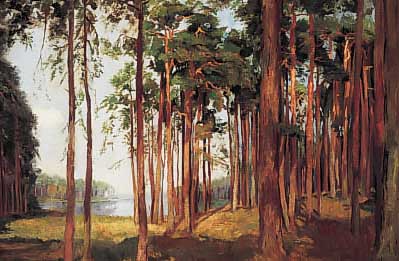 Unbek. Künstler, 1. Hälfte 20.Jh., Kiefern- wald mit See. Öl/Lwd., 50 x 74 cm, R.