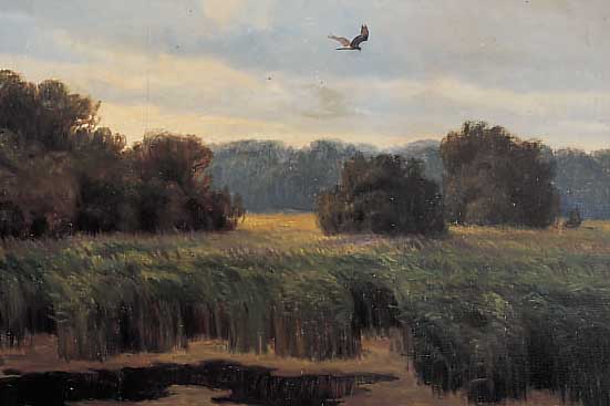 Hoyrup, Carl, *1893 - 1961, Dänischer Tier- und Landschaftsmaler, Hier: Raubvogel über dem Schilfmoor, Öl/Lwd., sign., 60 x 71 cm, R.