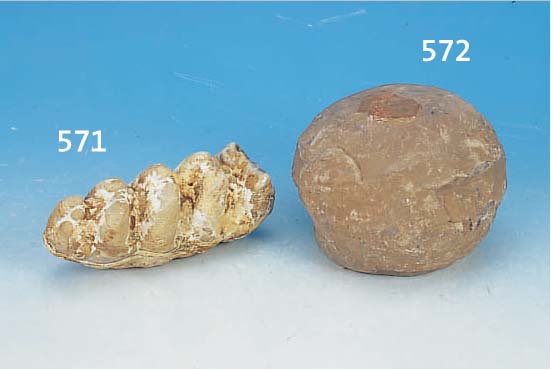 VERSTEINERTES DINOSAURIER-EI, CA. 60 MIO. JAHRE ALT, FUNDORT CHINA, GUT ERKENNBARE SCHALE, H. CA. 10 CM, D. CA. 17 CM