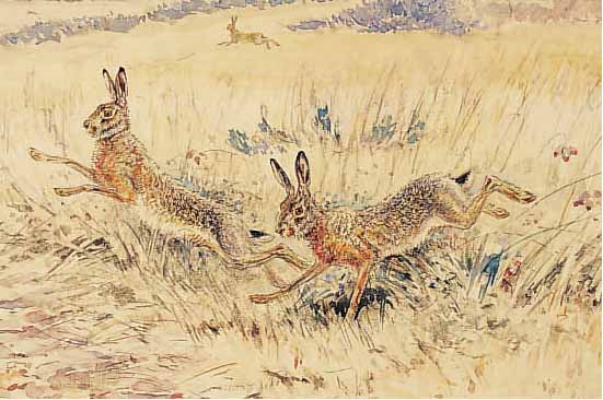 MERITE, EDOUARD-PAUL, *1867 NEUBORUG (ELSASS) - 1941, VIELBEACHTET FRANZöSICHER TIERMALER UND BILDHAUER, SCHüLER VON FREMIET, MOROT UND ...