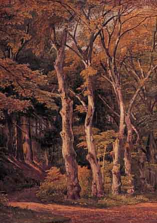 STRECKFUß, WILHELM, PROF., 1817 MERSEBURG- 1896 BERLIN, WALDINTERIEUR, MEHRFARBIGES AQUARELL, RE. U. MIT NACHLAßSTEMPEL, CA. 32 X 26,5 ...