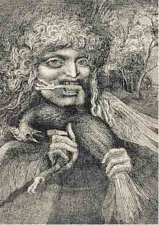 FUCHS, ERNST, PROF., VOGELFRESSER, RADIERUNGHANDSIGN., NUM. 52/99, CA. 19 X 17 CM, PP, U. GL., R.