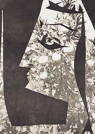 PICASSO, PABLO/ ANDRE VILLERS, POCHOIR "JAQUELINE AUX FRUITS" AUS: "DIUMES" (ALLTäG- LCIHES) VERöFFENTL. IN DECOUPAGES ET ...