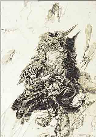 JANSSEN, HORST, 1929 - 1995, ORIGINALRADIERUNG 1982, 21 X 29 CM, VOGEL, RE. UNTEN MIT BLEISTIFT SIGN., IN DER ...
