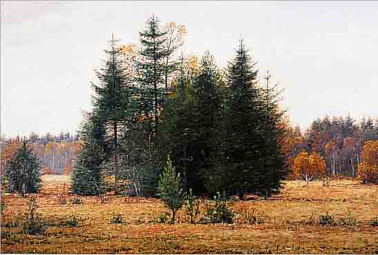 PASSIG, BENEDIX, *1864 BERLIN - 1957, BERLINER GENRE-UND LANDSCHAFTSMALER, HIER: HEIDELANDSCHAFT, ÖL/LWD., SIGN., 51 X 65 CM, R.