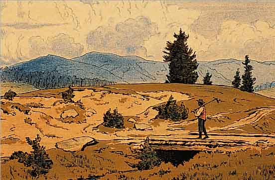 THOMA, HANS, *1839 BERNAU - 1924 KARLSRUHE, KONVOLUT VON ZWEI LANDSCHAFTSLITHOGRAPHIEN MITPERSONENSTAFFAGE, FARBLITHOGRAPHIE: BAUER MIT RECHEN üBER ...