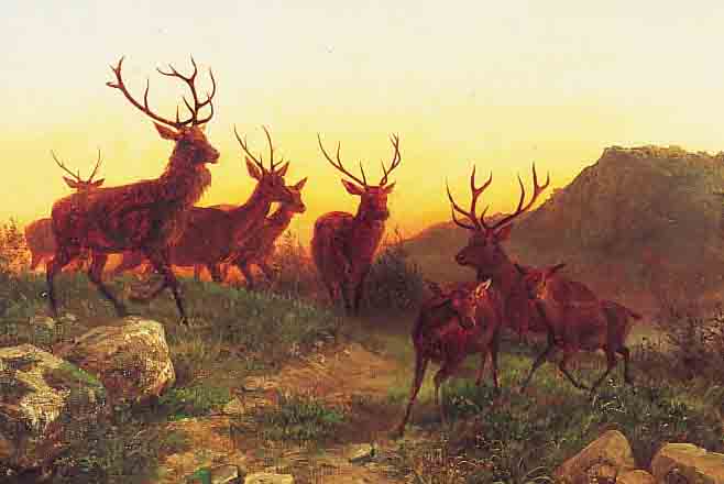 DEIKER, CARL FRIEDRICH, *1836 WETZLAR - 1892 DüSSELDORF, BEDEUTENDER TIER- UND JAGD-MALER DER DüSSELDORFER SCHULE, STUD. BEI SEINEM ...